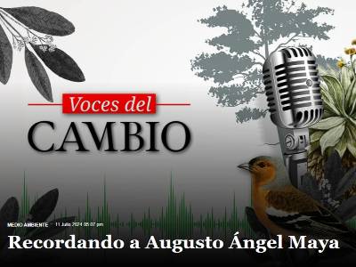 Imagen miniatura del artículo